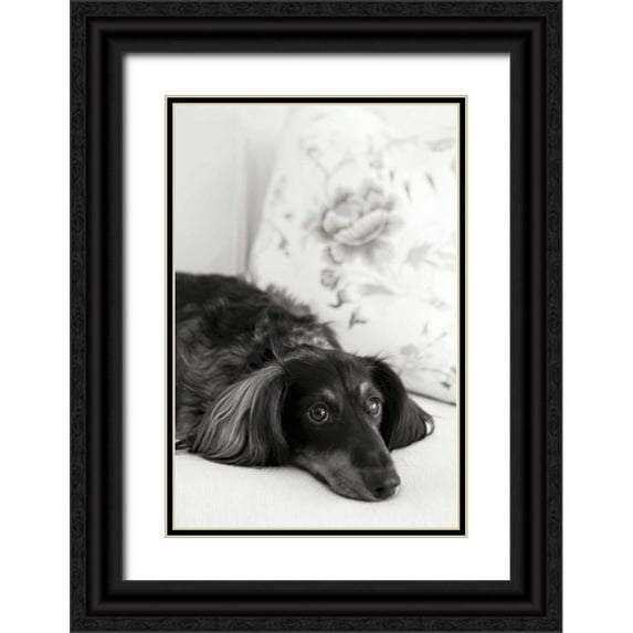 Millet, Karyn 13x18 Black Ornate Wood Framed with Double Matting Museum Art Print Titled - Dachshund