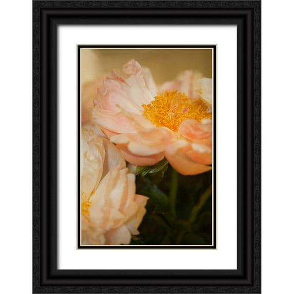 Millet, Karyn 13x18 Black Ornate Wood Framed with Double Matting Museum Art Print Titled - Peach Peonies II