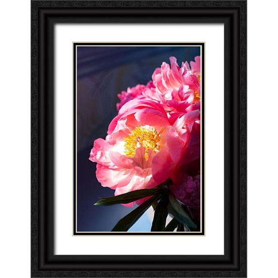 Millet, Karyn 13x18 Black Ornate Wood Framed with Double Matting Museum Art Print Titled - Pink Floral Bloom