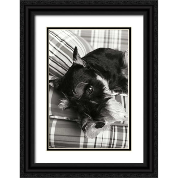 Millet, Karyn 13x18 Black Ornate Wood Framed with Double Matting Museum Art Print Titled - Schnauzer