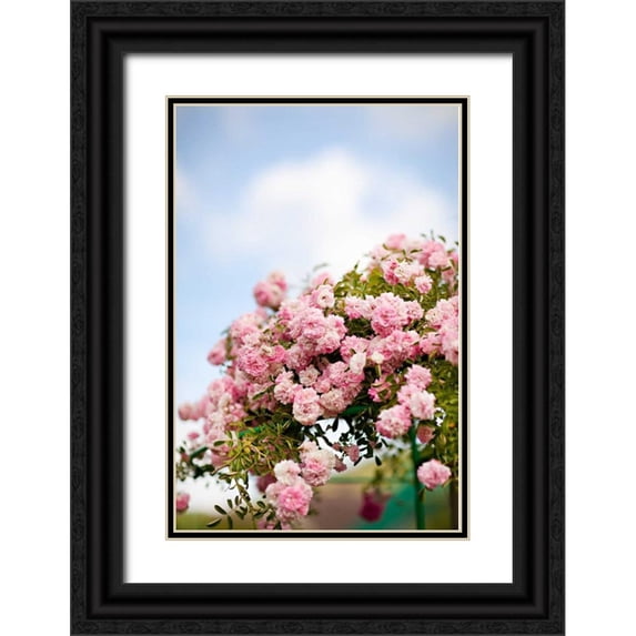 Millet, Karyn 13x18 Black Ornate Wood Framed with Double Matting Museum Art Print Titled - Spring Blossoms I