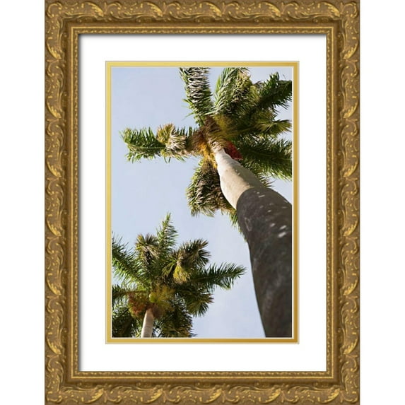 Millet, Karyn 13x18 Gold Ornate Wood Framed with Double Matting Museum Art Print Titled - Below the Palms II