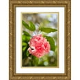thumbnail image 1 of Millet, Karyn 13x18 Gold Ornate Wood Framed with Double Matting Museum Art Print Titled - Spring Bloom II, 1 of 4