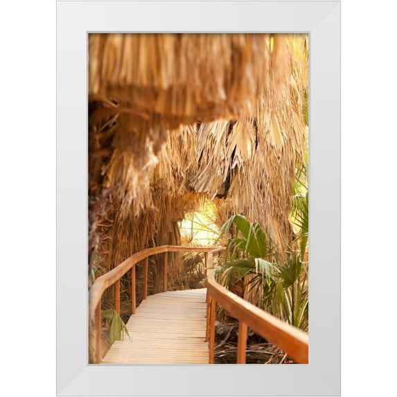 Millet, Karyn 13x18 White Modern Wood Framed Museum Art Print Titled - Palm Pathway I