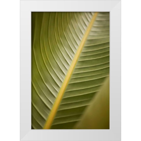 Millet, Karyn 13x18 White Modern Wood Framed Museum Art Print Titled - Tropical Leaves II