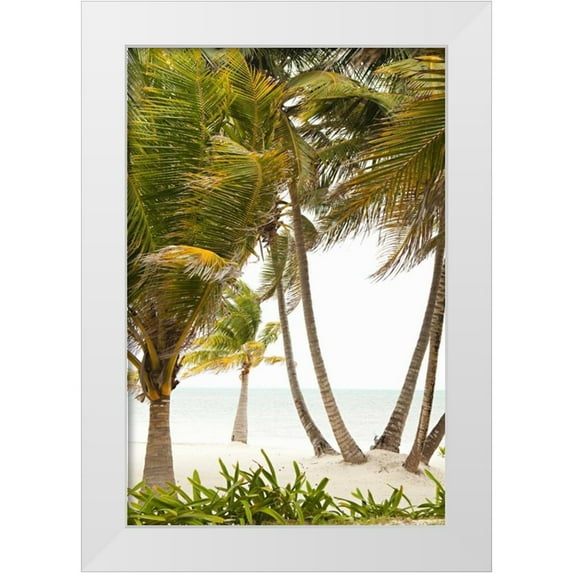 Millet, Karyn 13x18 White Modern Wood Framed Museum Art Print Titled - Tropical Oasis II