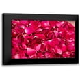 thumbnail image 1 of Millet, Karyn 14x11 Black Modern Framed Museum Art Print Titled - Pink Petals IV, 1 of 5