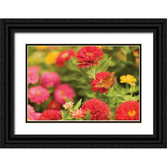 Millet, Karyn 14x11 Black Ornate Wood Framed with Double Matting Museum Art Print Titled - Butterfly Field I