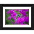 thumbnail image 1 of Millet, Karyn 14x11 Black Ornate Wood Framed with Double Matting Museum Art Print Titled - Magenta Bloom, 1 of 4