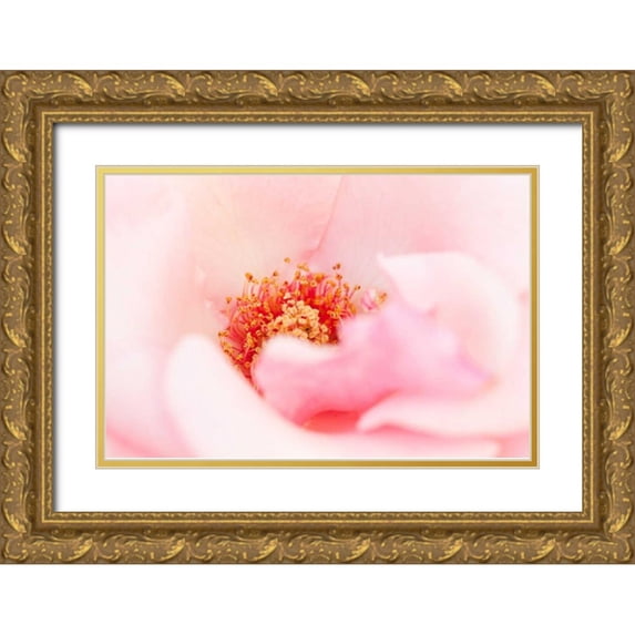 Millet, Karyn 14x11 Gold Ornate Wood Framed with Double Matting Museum Art Print Titled - In Full Bloom III