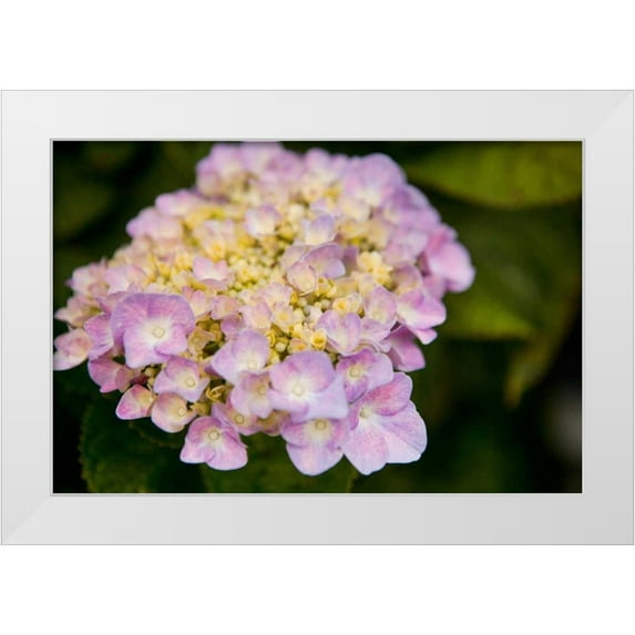 Millet, Karyn 14x11 White Modern Wood Framed Museum Art Print Titled - Hydrangeas I