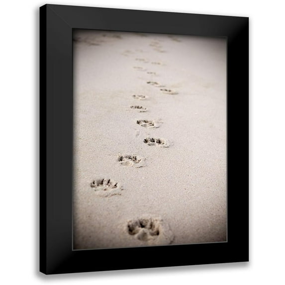 Millet, Karyn 17x24 Black Modern Framed Museum Art Print Titled - Paw Prints In Sand
