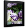 thumbnail image 1 of Millet, Karyn 17x24 Black Modern Framed Museum Art Print Titled - Purple Tipped Floral II, 1 of 5