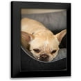 thumbnail image 1 of Millet, Karyn 17x24 Black Modern Framed Museum Art Print Titled - Resting II, 1 of 5
