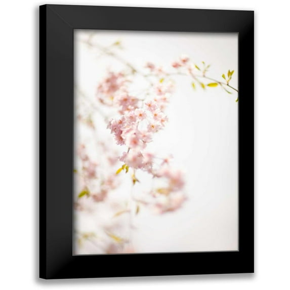 Millet, Karyn 17x24 Black Modern Framed Museum Art Print Titled - Soft Blooms IV