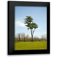 thumbnail image 1 of Millet, Karyn 17x24 Black Modern Framed Museum Art Print Titled - Tree II, 1 of 5