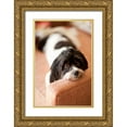 thumbnail image 1 of Millet, Karyn 17x24 Gold Ornate Wood Framed with Double Matting Museum Art Print Titled - A Dogs Life V, 1 of 4