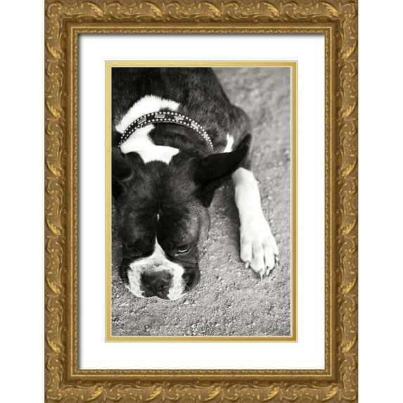 Millet, Karyn 17x24 Gold Ornate Wood Framed with Double Matting Museum Art Print Titled - Boxer