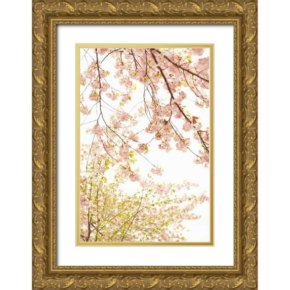 Millet, Karyn 17x24 Gold Ornate Wood Framed with Double Matting Museum Art Print Titled - In Bloom XIX