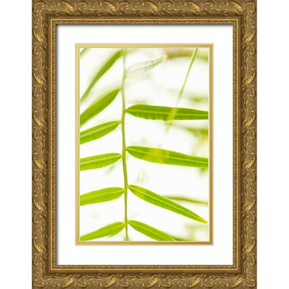 Millet, Karyn 17x24 Gold Ornate Wood Framed with Double Matting Museum Art Print Titled - Palm Fonds III