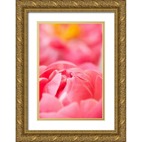 Millet, Karyn 17x24 Gold Ornate Wood Framed with Double Matting Museum Art Print Titled - Pink Peony II
