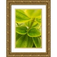 thumbnail image 1 of Millet, Karyn 17x24 Gold Ornate Wood Framed with Double Matting Museum Art Print Titled - Tropical Leaves II, 1 of 4