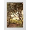 thumbnail image 1 of Millet, Karyn 17x24 White Modern Wood Framed Museum Art Print Titled - Secret Garden I, 1 of 4