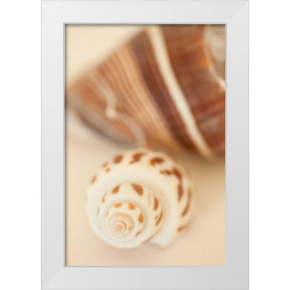 Millet, Karyn 17x24 White Modern Wood Framed Museum Art Print Titled - Shell by Shell III