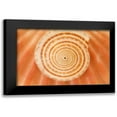 thumbnail image 1 of Millet, Karyn 18x13 Black Modern Framed Museum Art Print Titled - Ocean Treasures XIV, 1 of 5