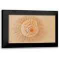 thumbnail image 1 of Millet, Karyn 18x13 Black Modern Framed Museum Art Print Titled - Ocean Treasures XI, 1 of 5