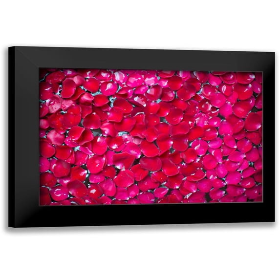 Millet, Karyn 18x13 Black Modern Framed Museum Art Print Titled - Pink Petals II