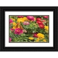 thumbnail image 1 of Millet, Karyn 18x13 Black Ornate Wood Framed with Double Matting Museum Art Print Titled - Butterfly Field II, 1 of 4