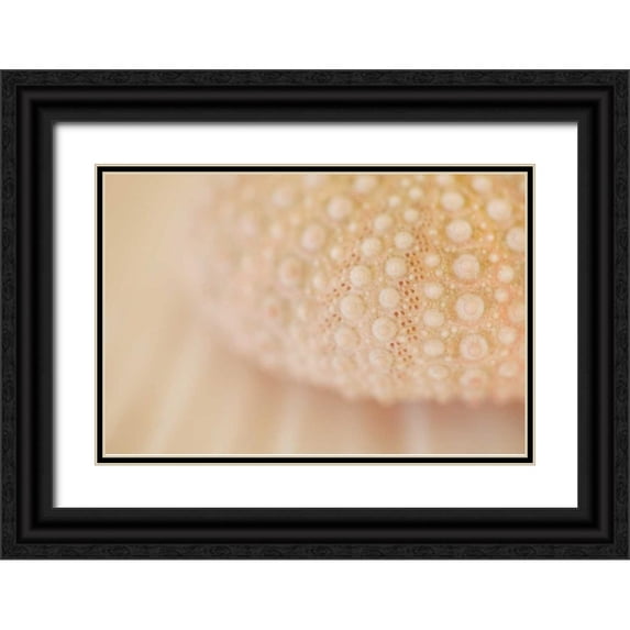 Millet, Karyn 18x13 Black Ornate Wood Framed with Double Matting Museum Art Print Titled - Ocean Treasures XV