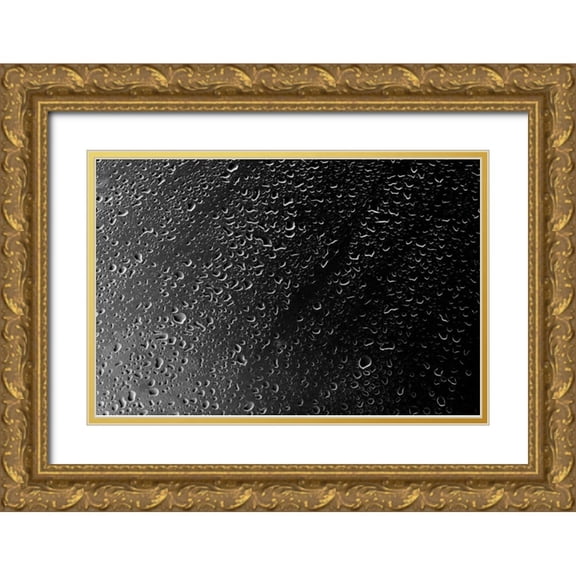 Millet, Karyn 18x13 Gold Ornate Wood Framed with Double Matting Museum Art Print Titled - Rain Drops IV