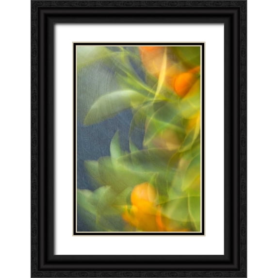 Millet, Karyn 23x32 Black Ornate Wood Framed with Double Matting Museum Art Print Titled - Abstract Vision I
