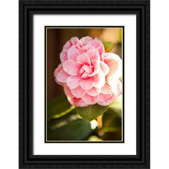 Millet, Karyn 23x32 Black Ornate Wood Framed with Double Matting Museum Art Print Titled - Bokeh Rose II