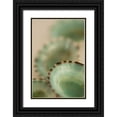 thumbnail image 1 of Millet, Karyn 23x32 Black Ornate Wood Framed with Double Matting Museum Art Print Titled - Sea Shells IV, 1 of 4