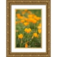 thumbnail image 1 of Millet, Karyn 23x32 Gold Ornate Wood Framed with Double Matting Museum Art Print Titled - California Poppies, 1 of 4