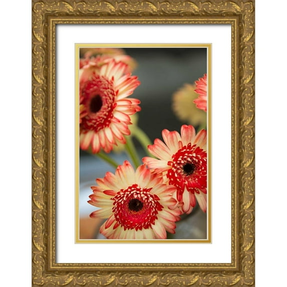 Millet, Karyn 23x32 Gold Ornate Wood Framed with Double Matting Museum Art Print Titled - Red and White Daisies I