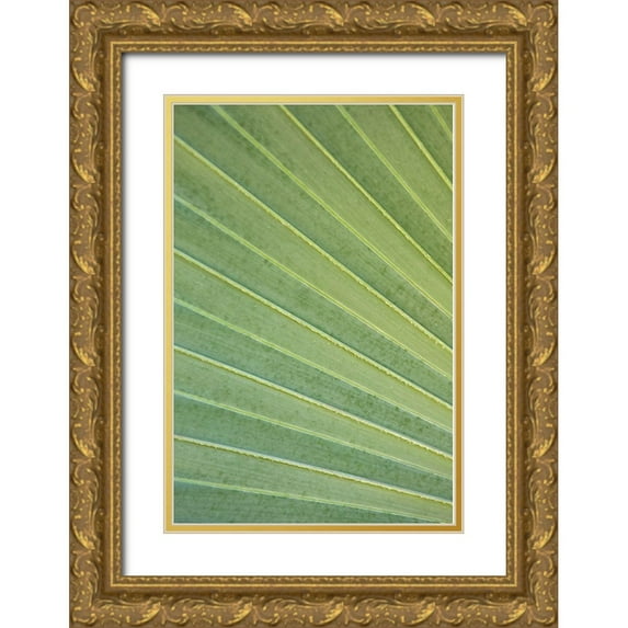 Millet, Karyn 23x32 Gold Ornate Wood Framed with Double Matting Museum Art Print Titled - Tropical Leaf Close-Up I