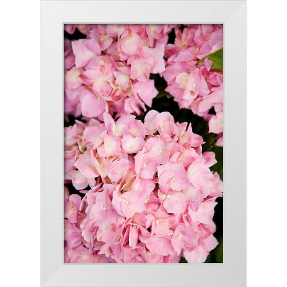 Millet, Karyn 23x32 White Modern Wood Framed Museum Art Print Titled - Hydrangeas III