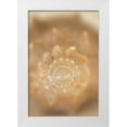 thumbnail image 1 of Millet, Karyn 23x32 White Modern Wood Framed Museum Art Print Titled - Sea Shell V, 1 of 4