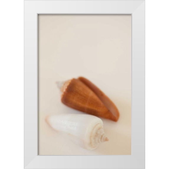 Millet, Karyn 23x32 White Modern Wood Framed Museum Art Print Titled - Shell by Shell I