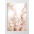 thumbnail image 1 of Millet, Karyn 23x32 White Modern Wood Framed Museum Art Print Titled - Soft Blooms III, 1 of 4