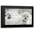 thumbnail image 1 of Millet, Karyn 24x17 Black Modern Framed Museum Art Print Titled - Bichons, 1 of 5