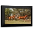 thumbnail image 1 of Millet, Karyn 24x17 Black Modern Framed Museum Art Print Titled - Horse Play I, 1 of 5