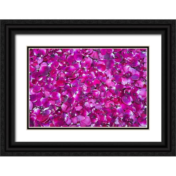 Millet, Karyn 24x17 Black Ornate Wood Framed with Double Matting Museum Art Print Titled - Pink Petals III