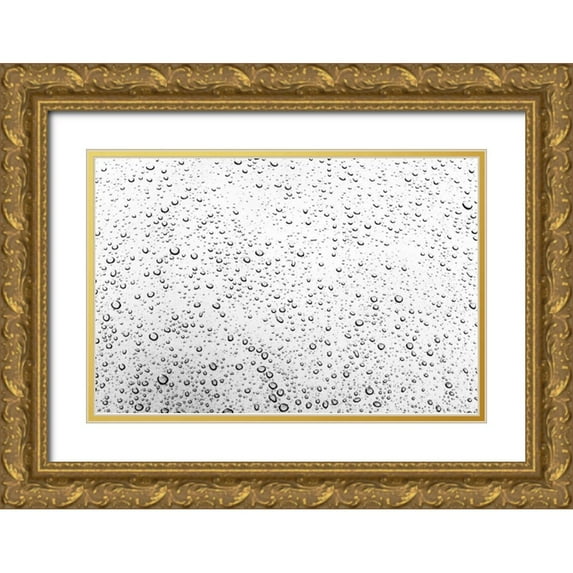Millet, Karyn 24x17 Gold Ornate Wood Framed with Double Matting Museum Art Print Titled - Rain Drops I