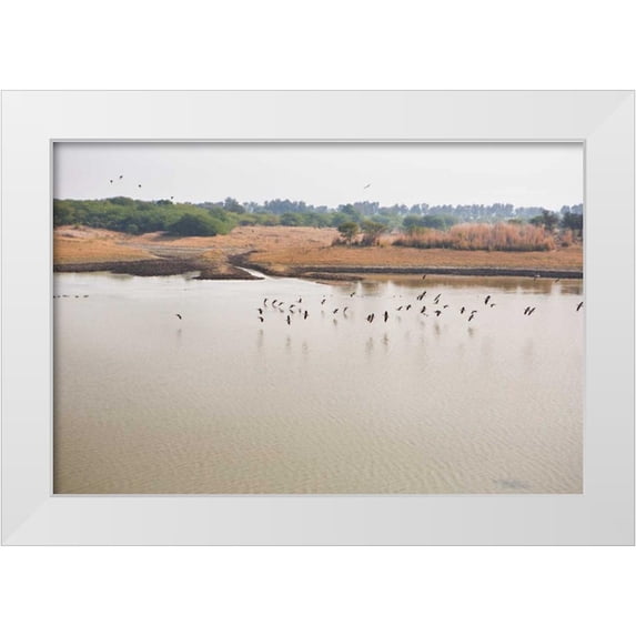 Millet, Karyn 24x17 White Modern Wood Framed Museum Art Print Titled - Birds II
