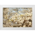 thumbnail image 1 of Millet, Karyn 24x17 White Modern Wood Framed Museum Art Print Titled - Cherry Blossoms II, 1 of 4